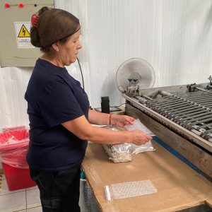 Megapol bolsas burbuja